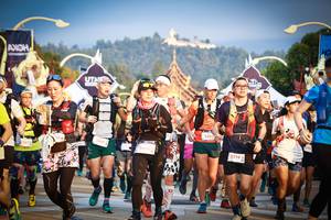 BIB: 5661, 5660, 5484, 5719, 513
                            <button type="button" onclick="openModal(22678358)" class="btn btn-primary btn-sm float-right btn-popup" data-toggle="modal" data-target=".modal-high-quality">
                        <i class="fas fa-shopping-cart"></i> Add to Cart
                    </button>
                                            <button type="button" onclick="isThisMe(22678358, true)" class="btn btn-success btn-sm float-right btn-popup btn-isme hidden" data-toggle="tooltip" data-placement="bottom" title="นี่คือรูปของคุณใช่ไหม คลิกที่นี่เพื่อเอาเข้าอัลบั้ม">
                        <i class="fas fa-plus"></i> Add to album
                    </button>
                    <button type="button" onclick="isThisMe(22678358, false)" class="btn btn-warning btn-sm float-right btn-popup btn-isnotme hidden">
                        <i class="fas fa-ban"></i> Remove from album
                    </button>